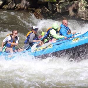 Meet your Posher, Bonnie